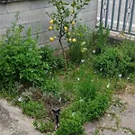 Da Jack View Garden And Parking Wifi Pets Apartamento Penne