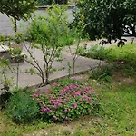 Da Jack View Garden And Parking Wifi Pets