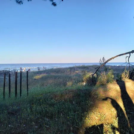 Da Jack With Garden And Parking, Ideal For Families And Pets Penne