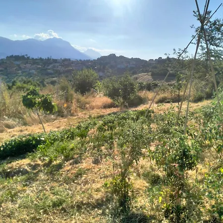 Apartment Da Jack With Garden And Parking, Ideal For Families And Pets *