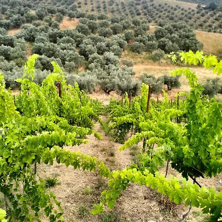 Lejlighed Con Giardino E Parcheggio A Ideale Per Famiglie E Pet Penne