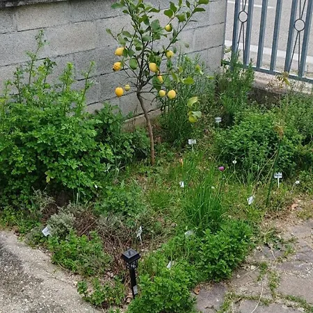 Da Jack View Garden And Parking Wifi Pets 아파트 펜네