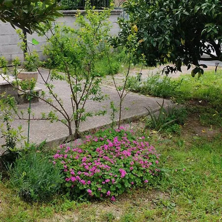 Da Jack View Garden And Parking Wifi Pets
